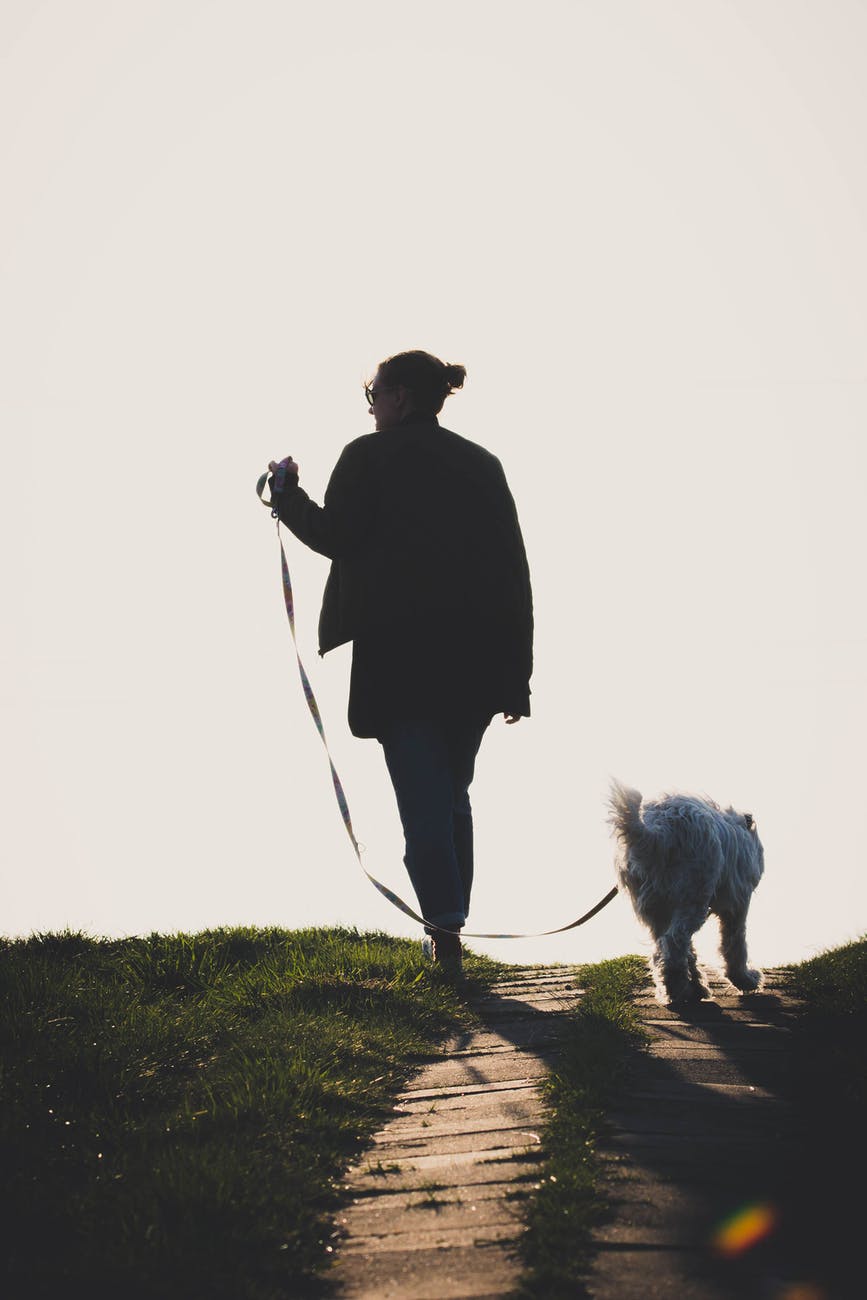 A woman and her dog going for a walk outdoors