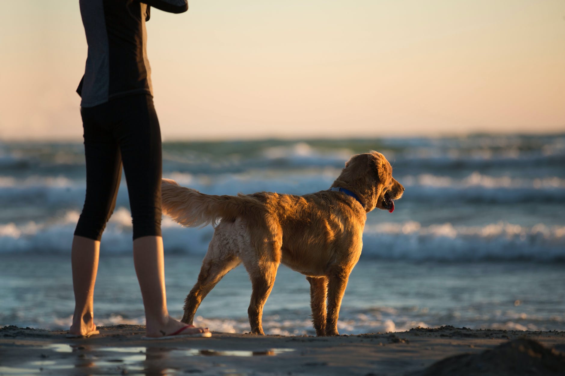 A woman and her dog enjoy looking out to sea  - this would be my ideal day!